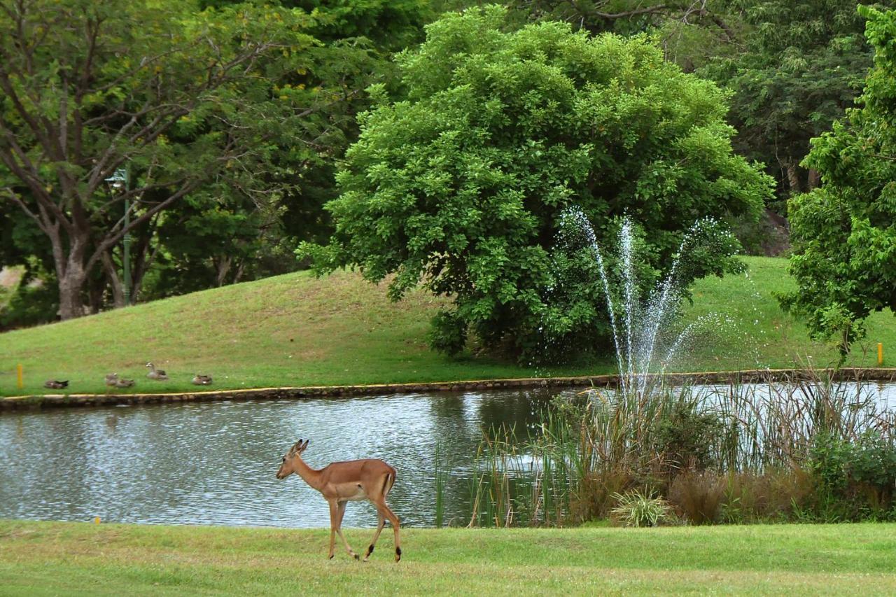 Kruger Park Lodge Unit No. 610B Хейзивью Экстерьер фото